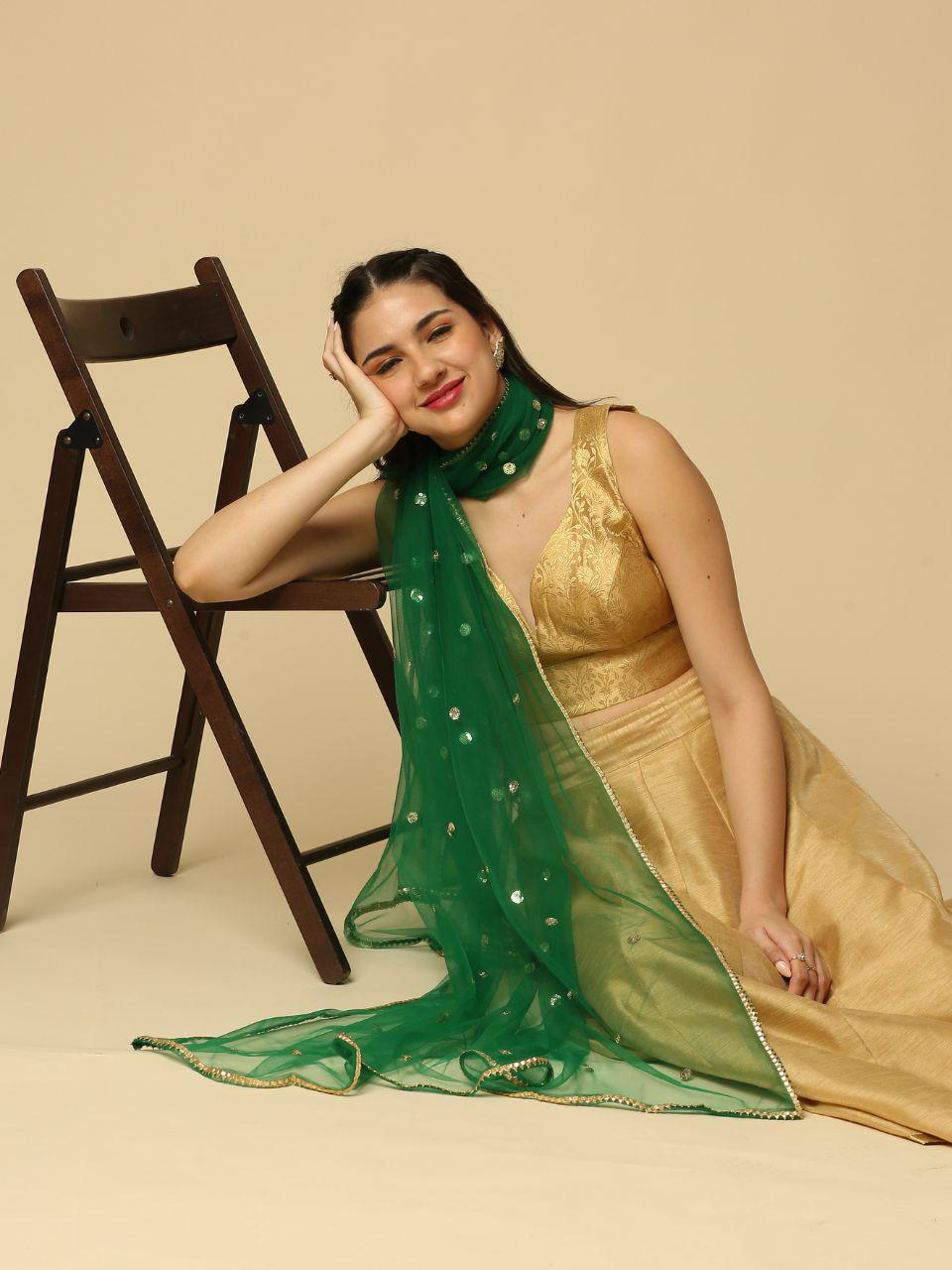 Net fabric Dupatta Stole with Gotta Patti Work delicate edge and sequin buttas work lightweight