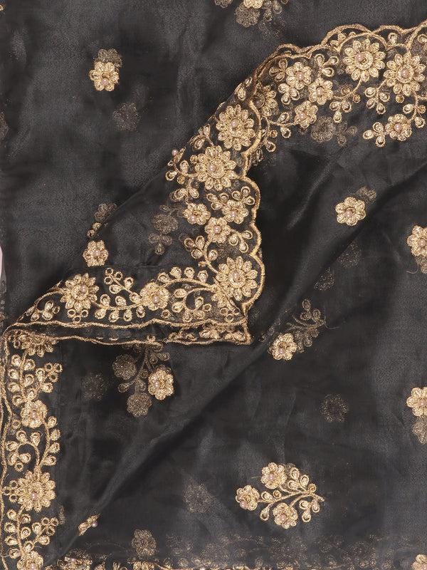 Embroidered Glass Tissue Dupatta/shawl/stole