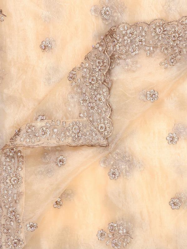 Embroidered Glass Tissue Dupatta/shawl/stole