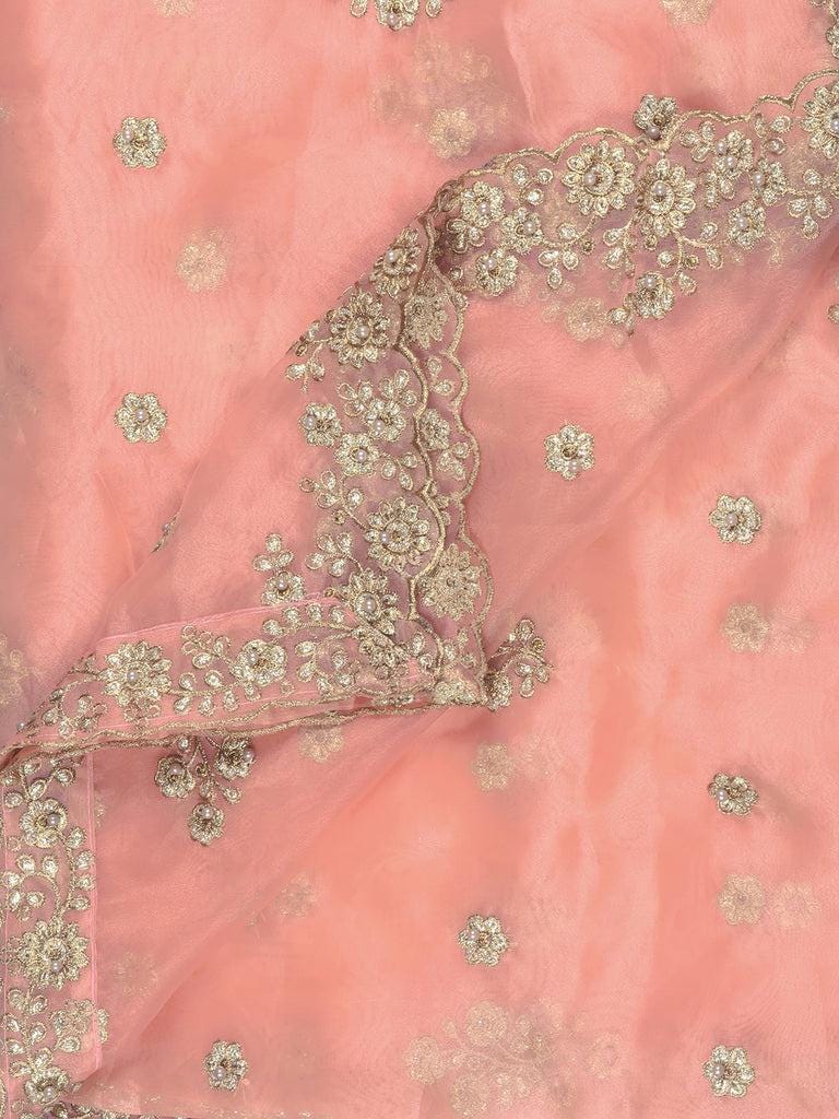 Embroidered Glass Tissue Dupatta/shawl/stole