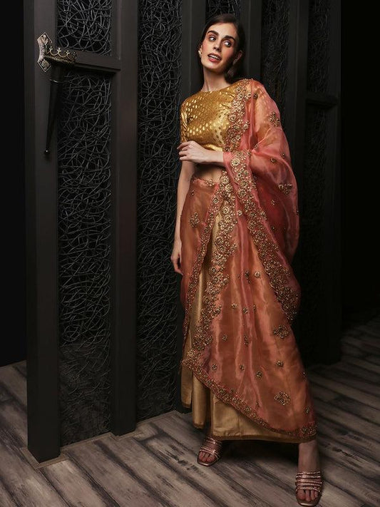 Embroidered Glass Tissue Dupatta/shawl/stole