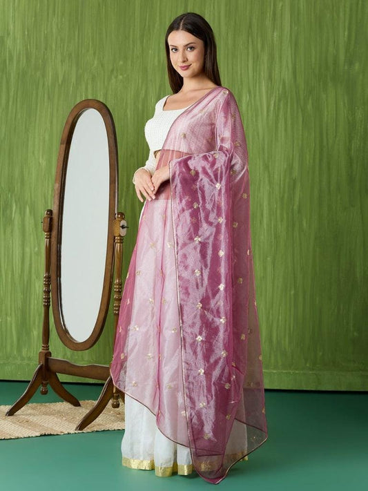 Sequinned Shimmer Tissue Silk Dupatta/shawl/stole