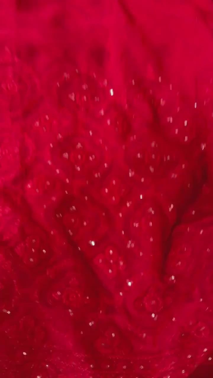 Red Designer Faux Georgette Chikankari Worked Saree